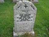 image of grave number 244720